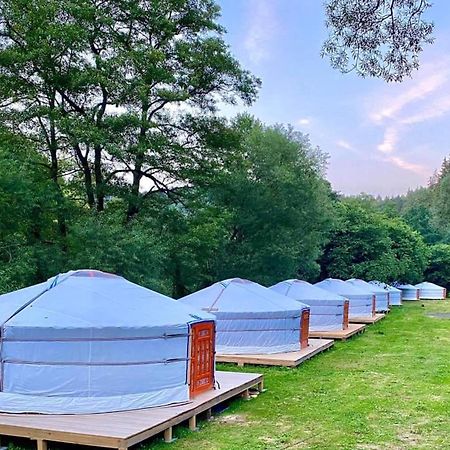 ホテル Mongolian Yurt Camp チェスキー・シュテルンベルク エクステリア 写真