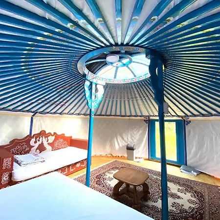 ホテル Mongolian Yurt Camp チェスキー・シュテルンベルク エクステリア 写真